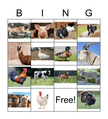 Farm Animal Bingo Card