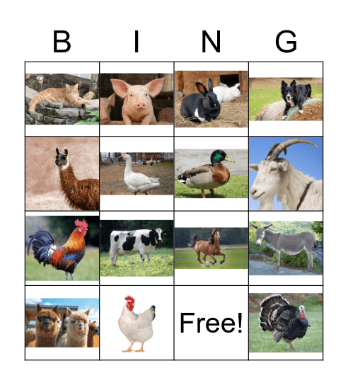 Farm Animal Bingo Card