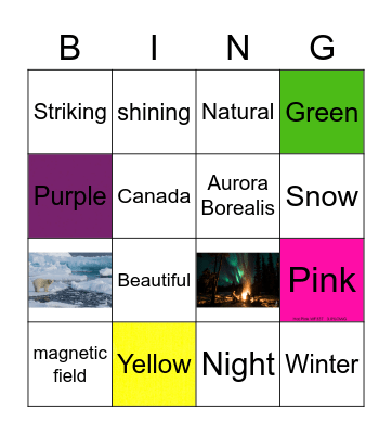 Northern Lights- DDP bingo Card