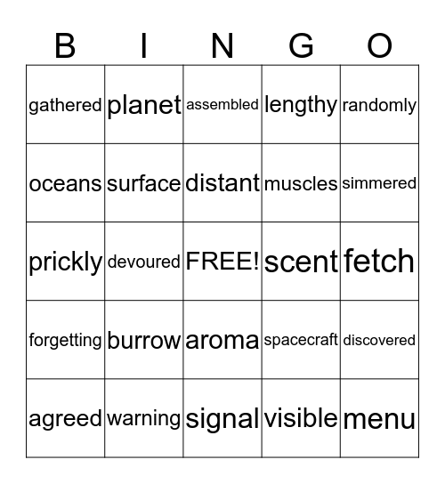 Vocabulary Bingo Card