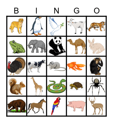 Animals Bingo Card