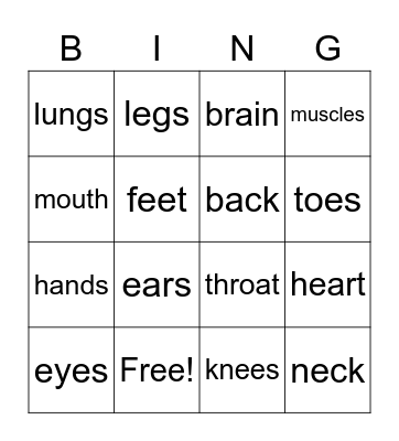 Body Parts Bingo Card