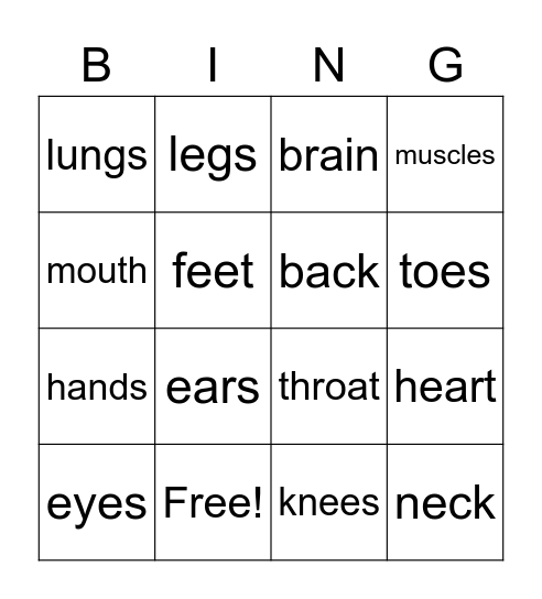 Body Parts Bingo Card