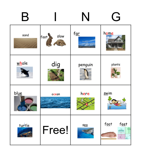 Grade 1: At Home in the Ocean Vocabulary Bingo Card