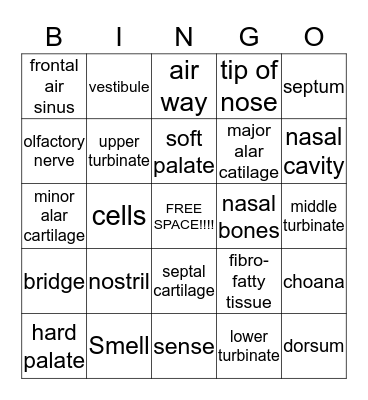 SMELL  Bingo Card