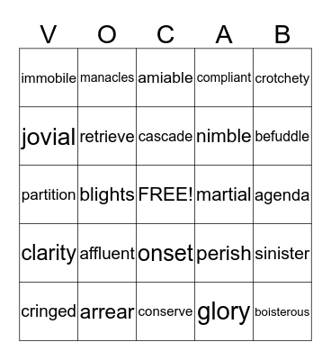 vocabulary  Bingo Card