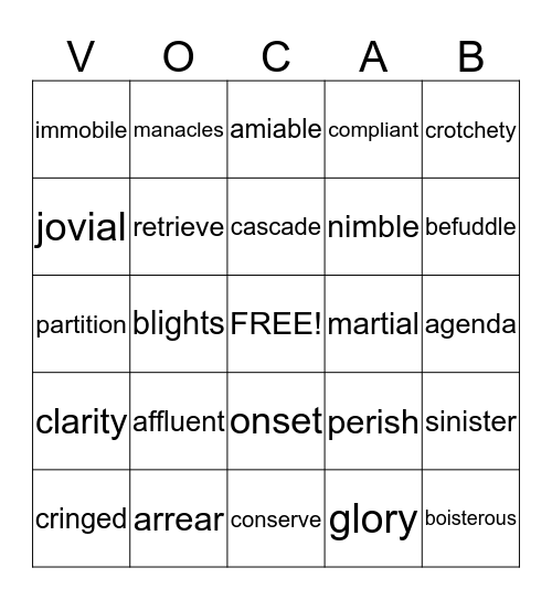 vocabulary  Bingo Card