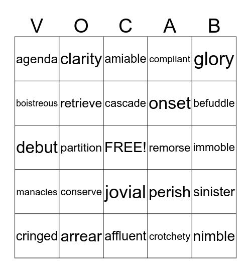 vocabulary  Bingo Card