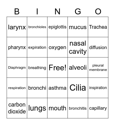 Respiratory system Bingo Card