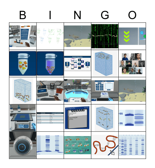 SDS-PAGE Bingo Card