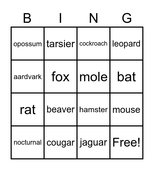 Nocturnal Animals Bingo Card