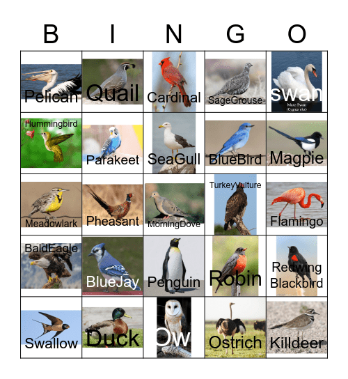 Bird Bingo Card