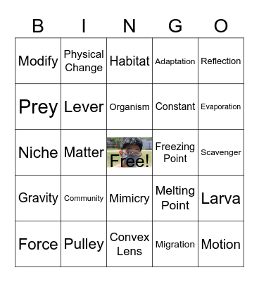 Blue Basket Science Bingo Card