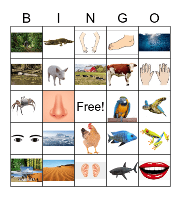 Super Duper English Bingo Card
