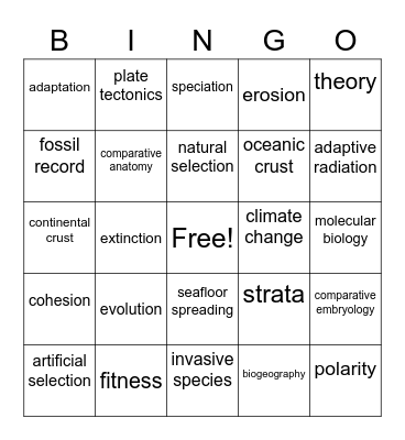 Unit 3 Vocabulary Bingo Card