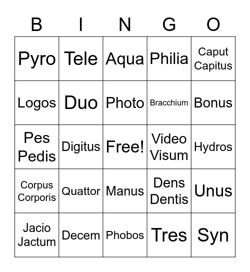 Flashcards Bingo Card