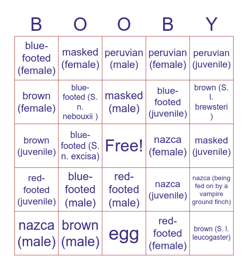 BOOBY Bingo Card