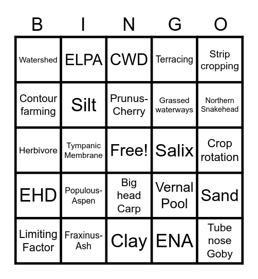 Bingo 1 Bingo Card