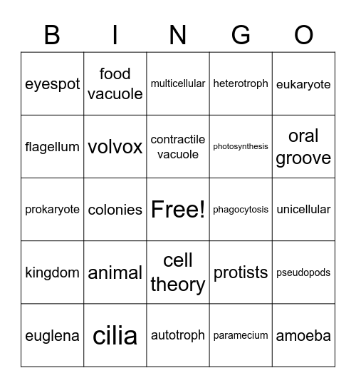 Protist bingo Card