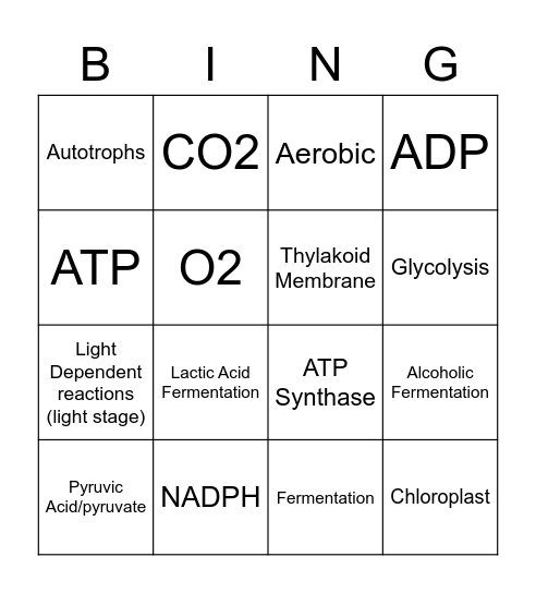 Photosynthesis and Respiration Bingo Card