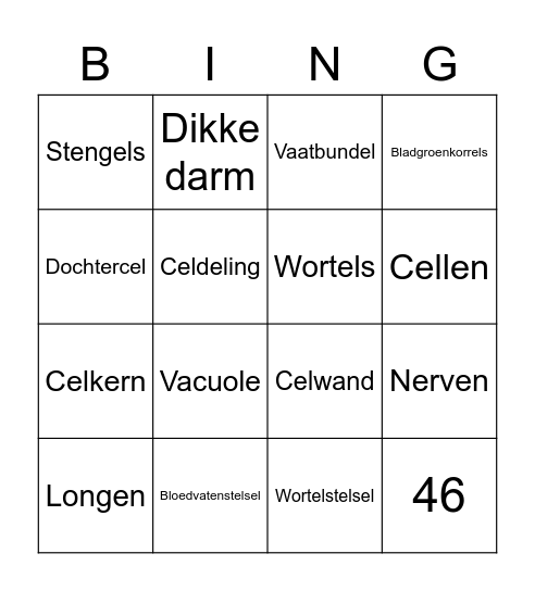 Organen en cellen Bingo Card