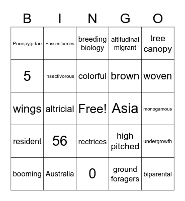 Pnoepygidae Bingo Card