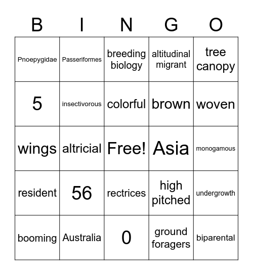 Pnoepygidae Bingo Card