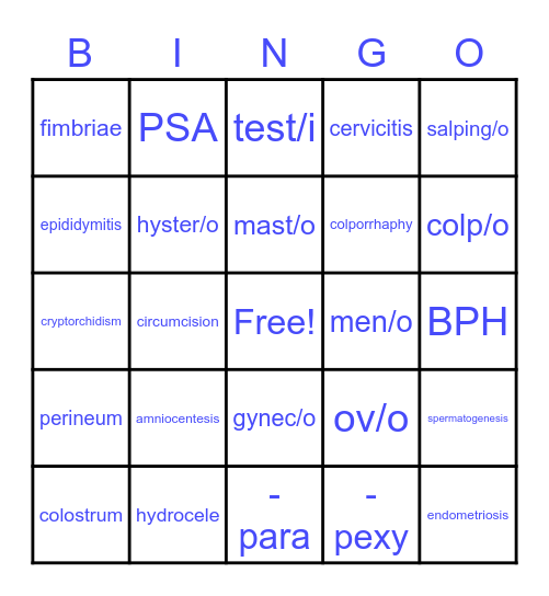 Med Term Reproductive Bingo Card