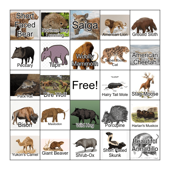 Ancient Animals BINGO Card