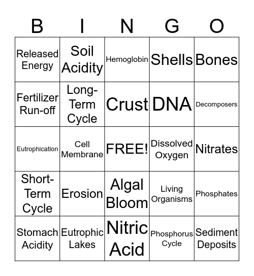 Phosphorus Cycle Bingo Card