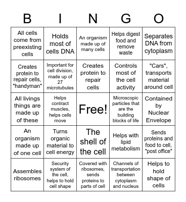 Cell Vocabulary Bingo Card