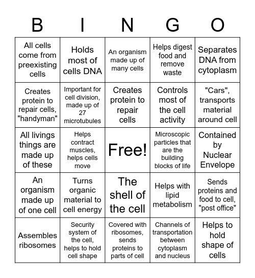 Cell Vocabulary Bingo Card