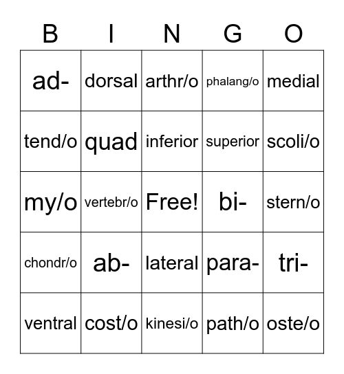 med term #3 and #4 Bingo Card