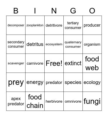 Food Web Bingo Card