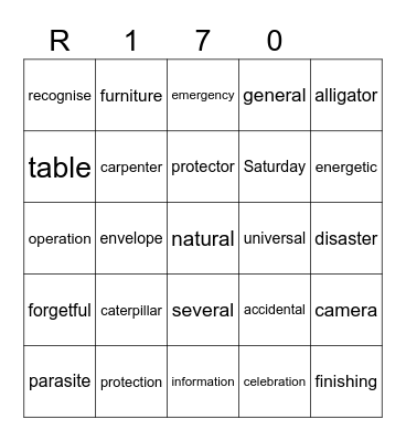 Red 170 Bingo Card
