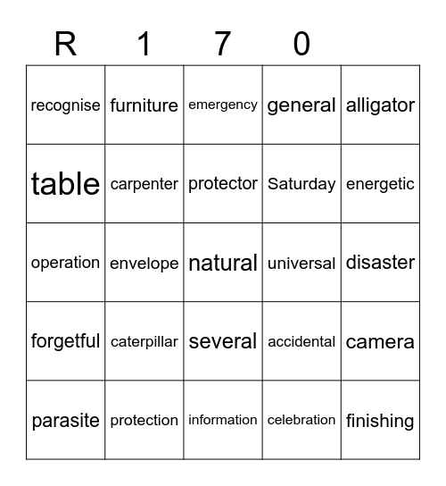 Red 170 Bingo Card
