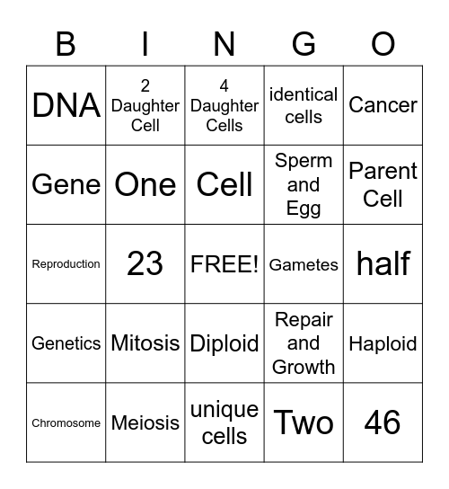 Mitosis & Meiosis Vocabulary Bingo Card