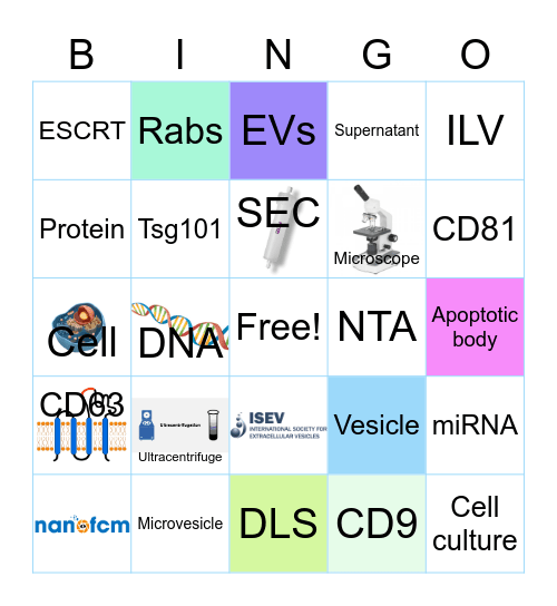 UKEV2021 Bingo! Bingo Card