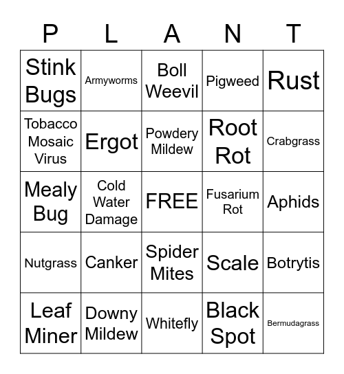 Plant Disease Bingo Card