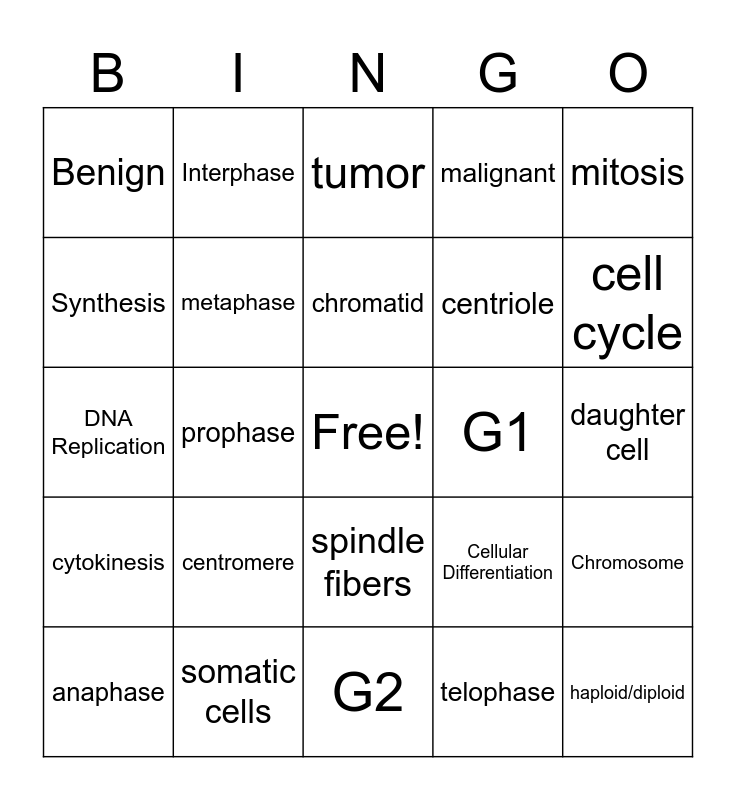 Cell Cycle Vocabulary Bingo Card