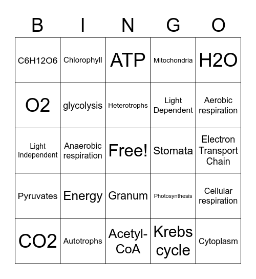Cellular Respiration and Photosynthesis Bingo Card