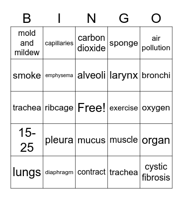 Respiratory System Bingo Card