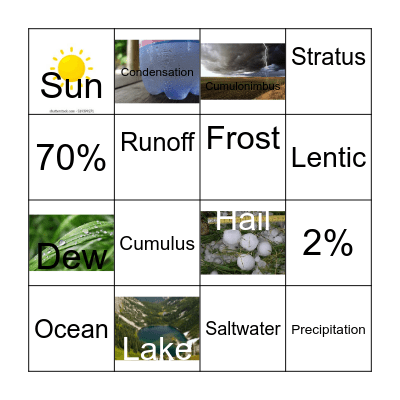 Water Cycle Bingo Card