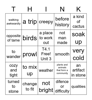 T4.1 Vocabulary Unit 3 Bingo Card