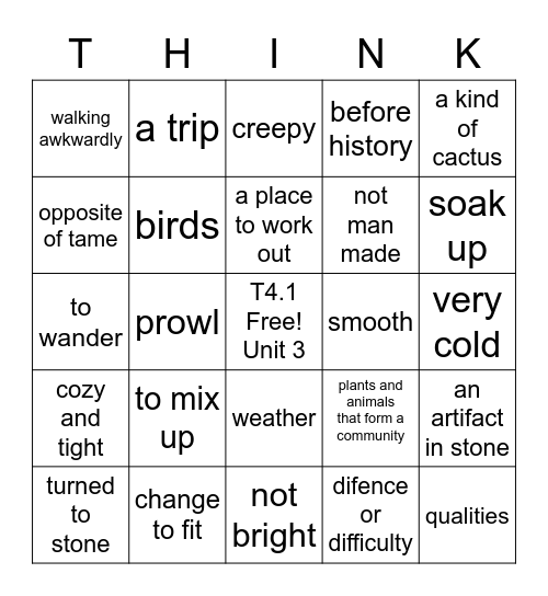 T4.1 Vocabulary Unit 3 Bingo Card