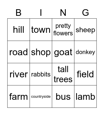 SB U11 Countryside Bingo Card