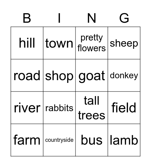 SB U11 Countryside Bingo Card