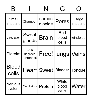 Body image Bingo Card