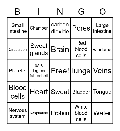 Body image Bingo Card