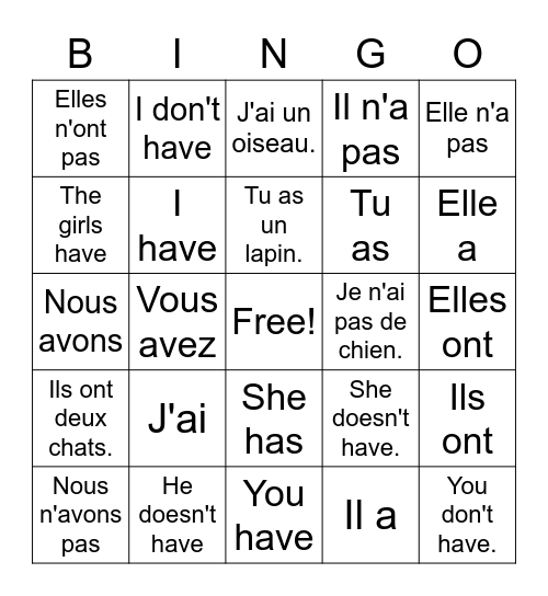 LE VERBE AVOIR Bingo Card